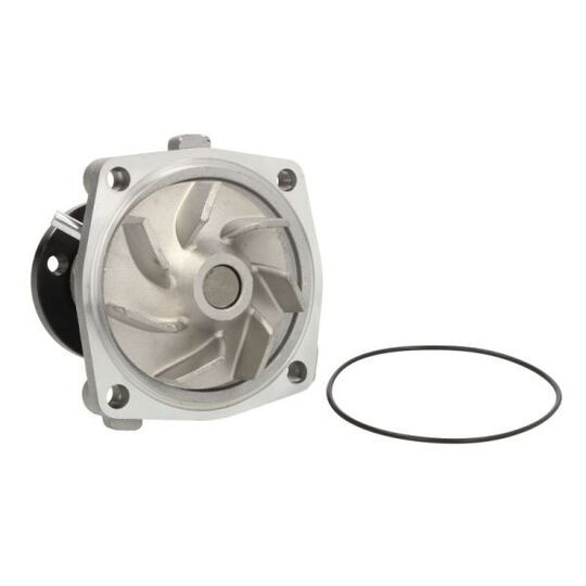 D1G042TT Water pump
