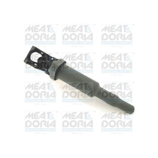 10564 Ignition coil