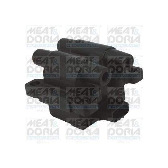10691 Ignition coil