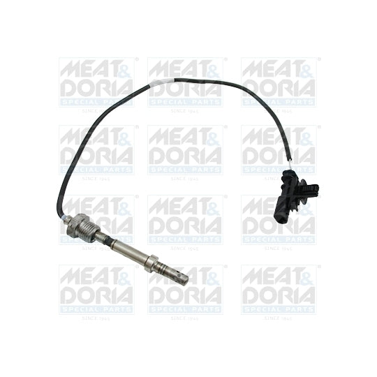 12438 Sensor, exhaust gas temperature