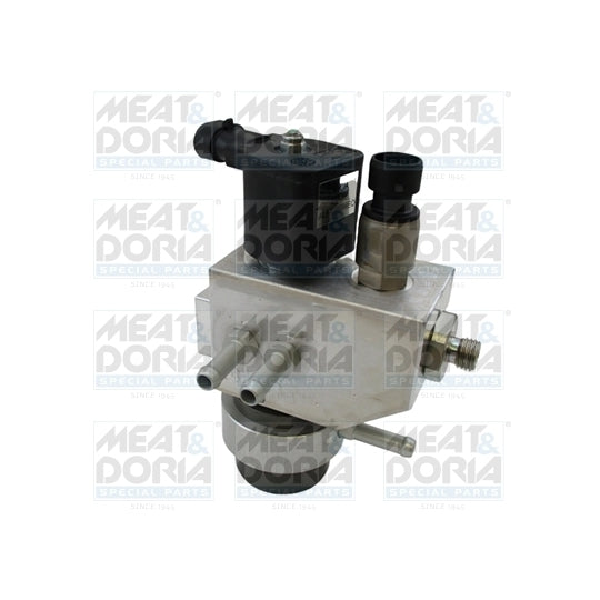 13123 Valve, injection system