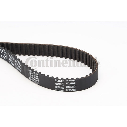 CT827 Timing Belt