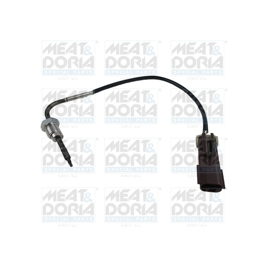 12003 Sensor, exhaust gas temperature