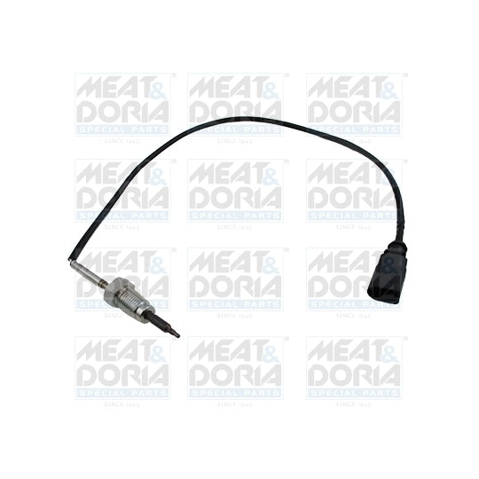 12052E Sensor, exhaust gas temperature