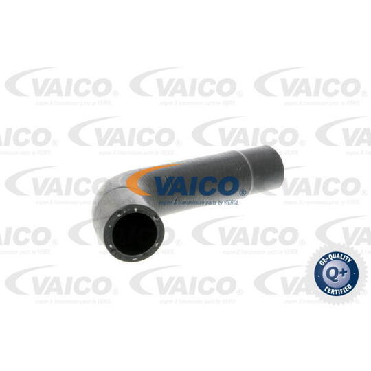 V10-3202 Radiator Hose