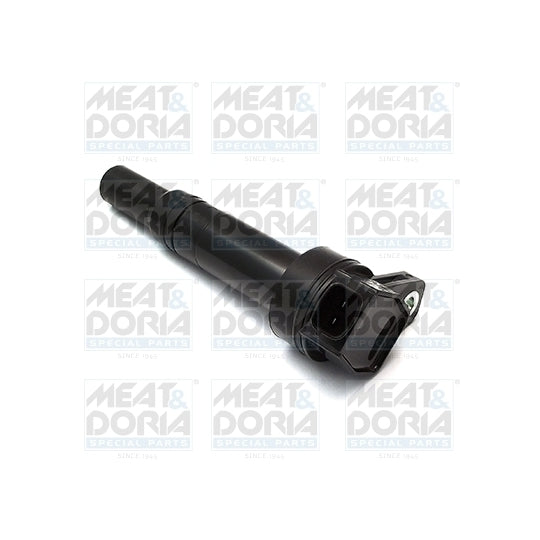 10620 Ignition coil