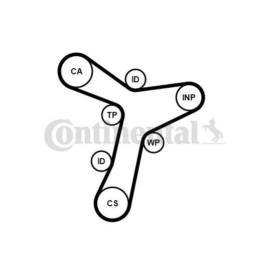 CT1229 Timing Belt