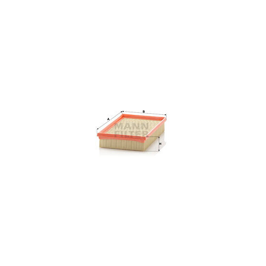 C 2579 Air filter