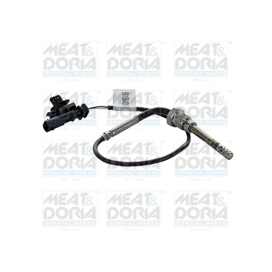 12502 Sensor, exhaust gas temperature