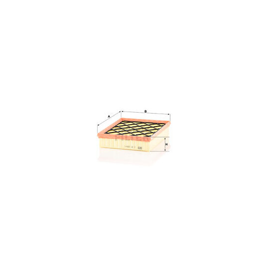 C 25 008/1 Air filter