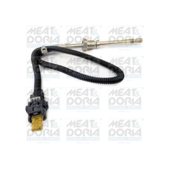 12103 Sensor, exhaust gas temperature