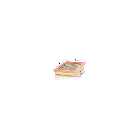 C 2966 Air filter