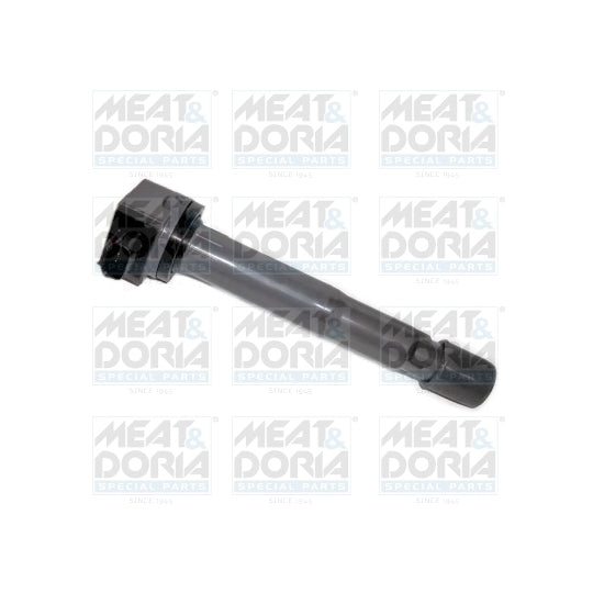 10787 Ignition coil
