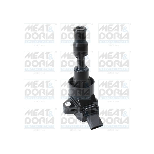 10815 Ignition coil