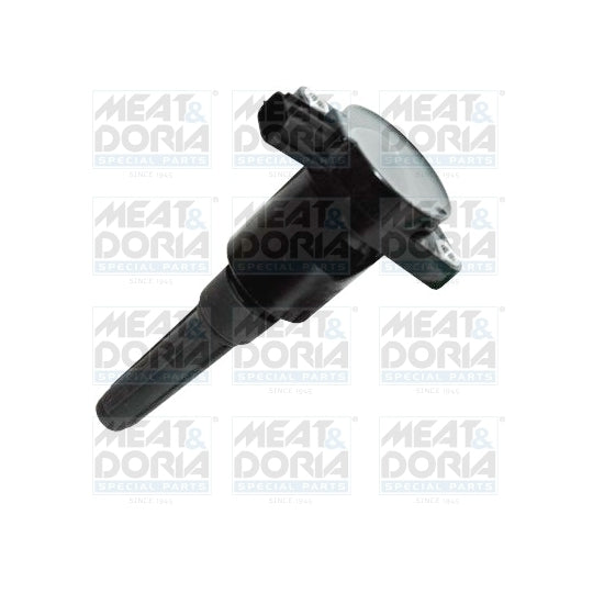 10732 Ignition coil