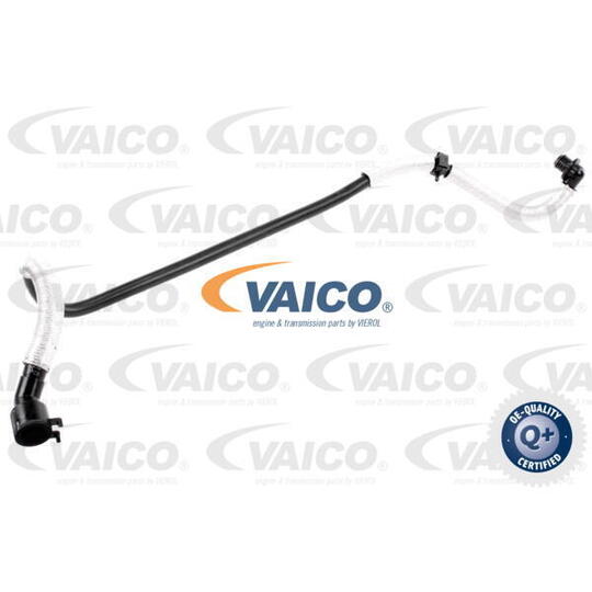 V10-3636 Vacuum Hose, braking system