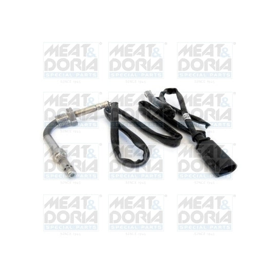 12064 Sensor, exhaust gas temperature