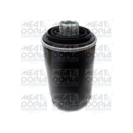 15576 Oil filter