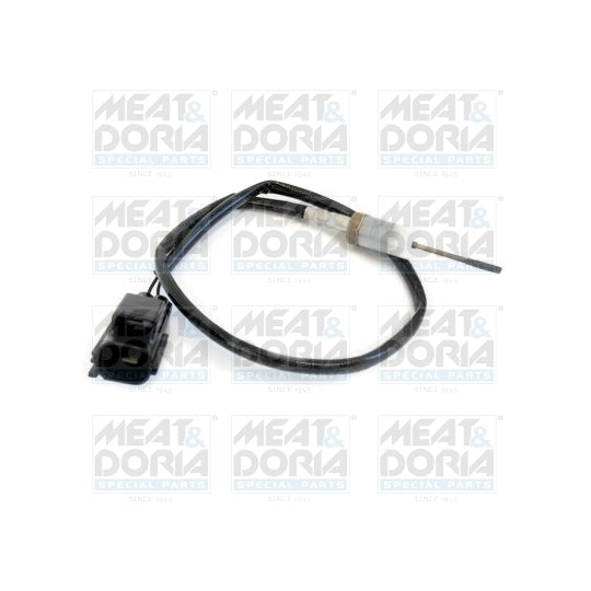 12086 Sensor, exhaust gas temperature