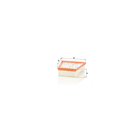 C 2538 Air filter