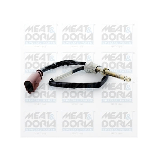 12343 Sensor, exhaust gas temperature