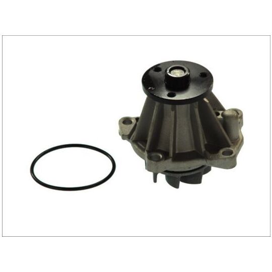 D1G033TT Water pump