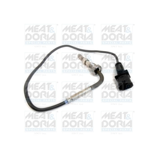 12129 Sensor, exhaust gas temperature