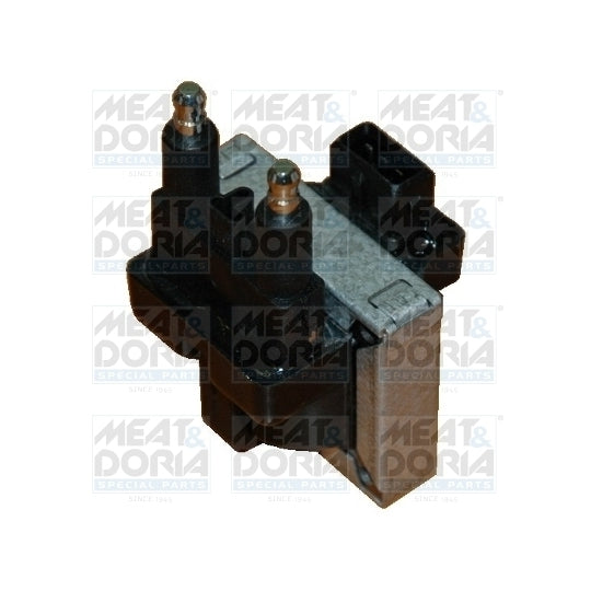 10383 Ignition coil