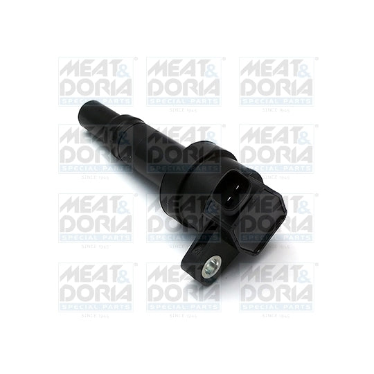 10625 Ignition coil
