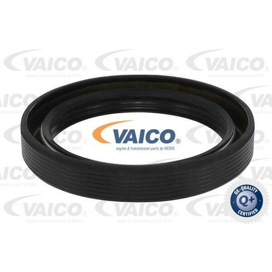 V10-3264 Shaft Seal, differential