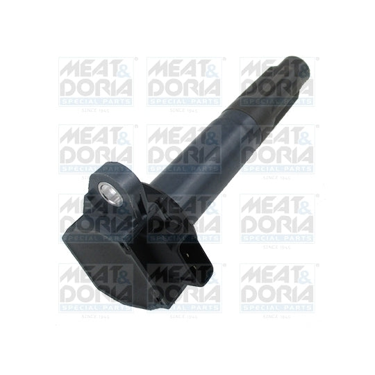 10821 Ignition coil