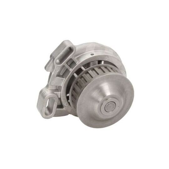 D1W005TT Water pump