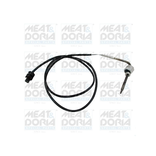 12423 Sensor, exhaust gas temperature