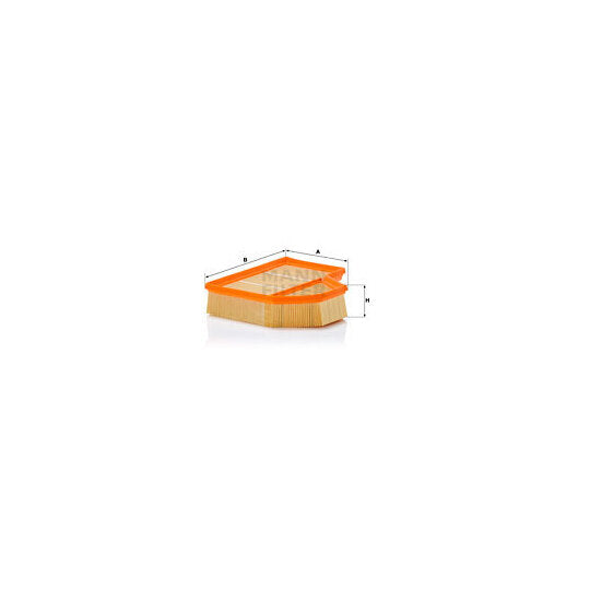 C 25 111 Air filter