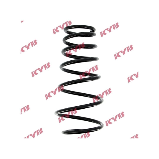 RG5009 Coil Spring