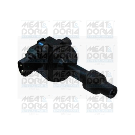 10605 Ignition coil