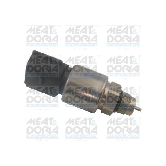 13113 Sensor, fuel pressure