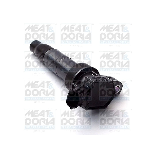 10598 Ignition coil