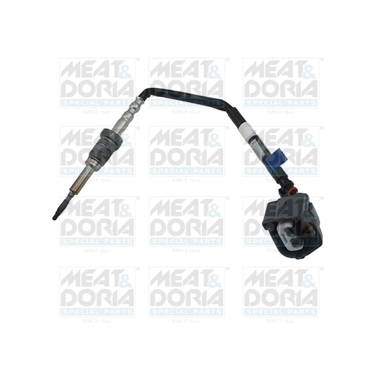 12521 Sensor, exhaust gas temperature