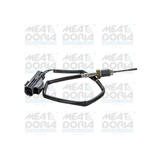 12432 Sensor, exhaust gas temperature