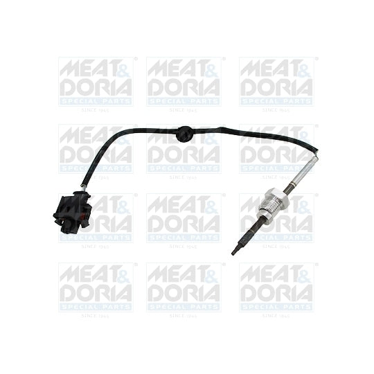 12101 Sensor, exhaust gas temperature
