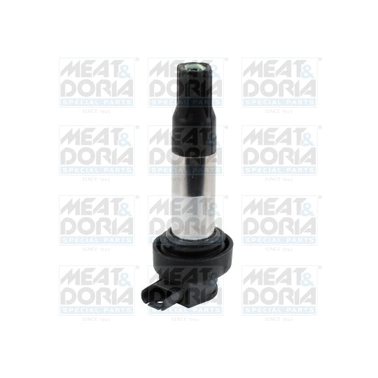 10842 Ignition coil