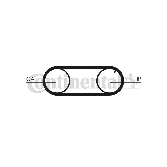 CT704K2PRO Timing Belt Set