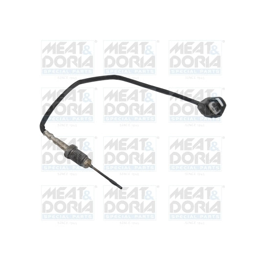 12301 Sensor, exhaust gas temperature