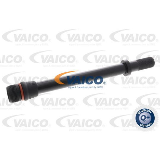 V10-6647 Funnel, oil dipstick