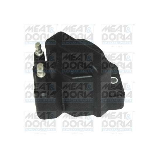 10724 Ignition coil