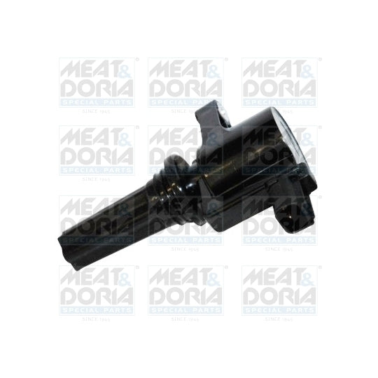 10676 Ignition coil