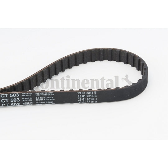 CT503 Timing Belt