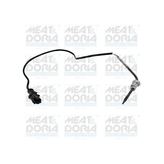 12447 Sensor, exhaust gas temperature