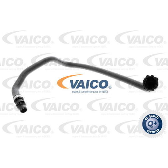 V20-0891 Radiator Hose